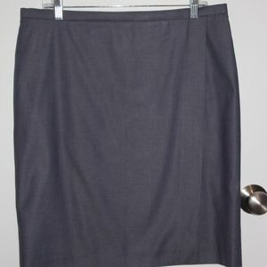 Ann Taylor Woman's Skirt